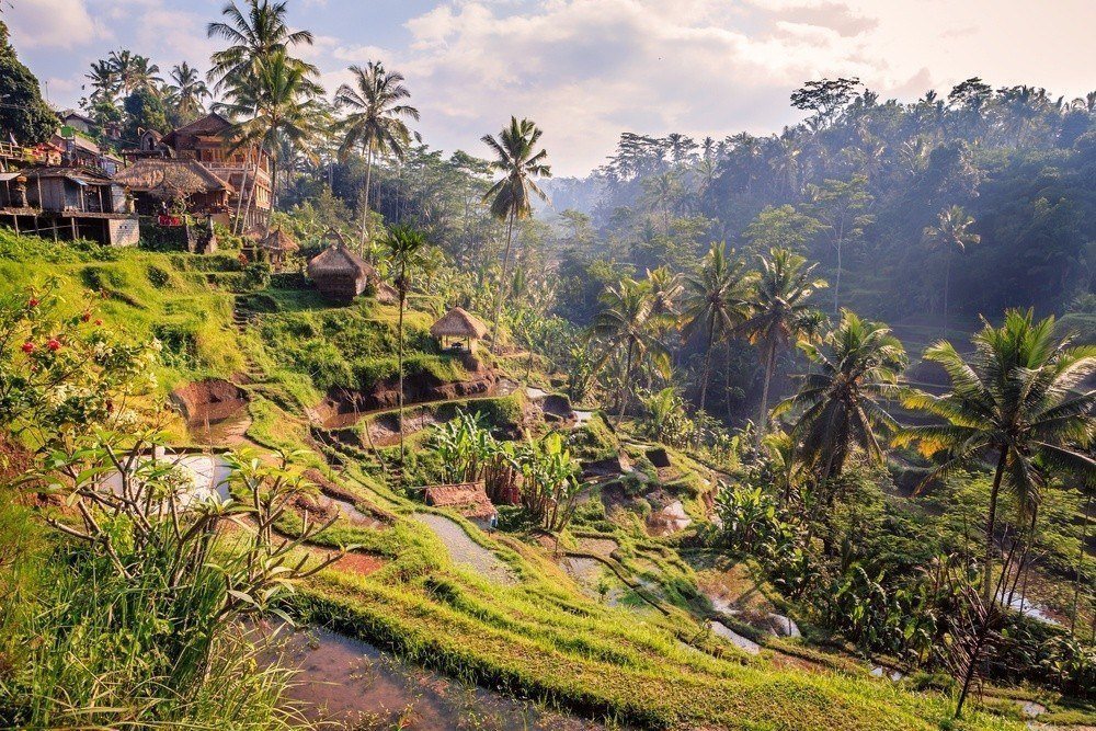 9 Tempat Wisata di Ubud ini Bakal Bikin Mata Hati Anda